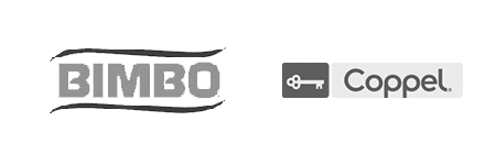 bimbo-2